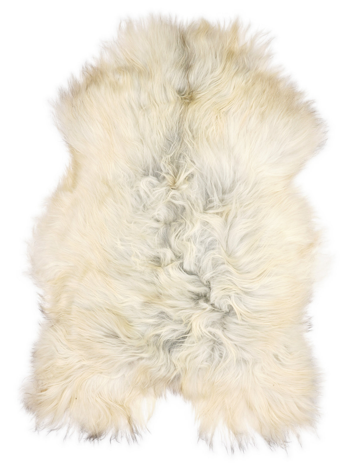 Icelandic multicolour sheepskin rug of about 120 × 80 cm, seen from above: the exact sheepskin you receive