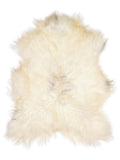 Icelandic multicolour sheepskin rug of about 120 × 90 cm, seen from above: the exact sheepskin you receive