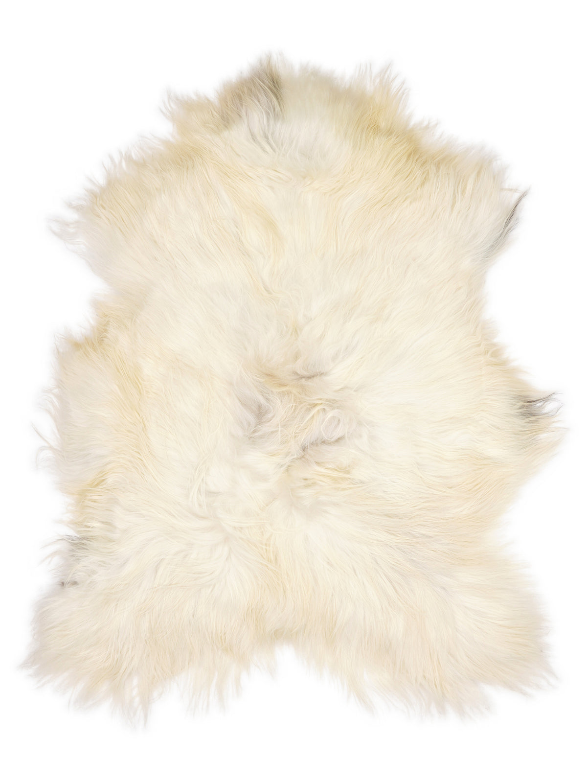 Icelandic multicolour sheepskin rug of about 120 × 90 cm, seen from above: the exact sheepskin you receive