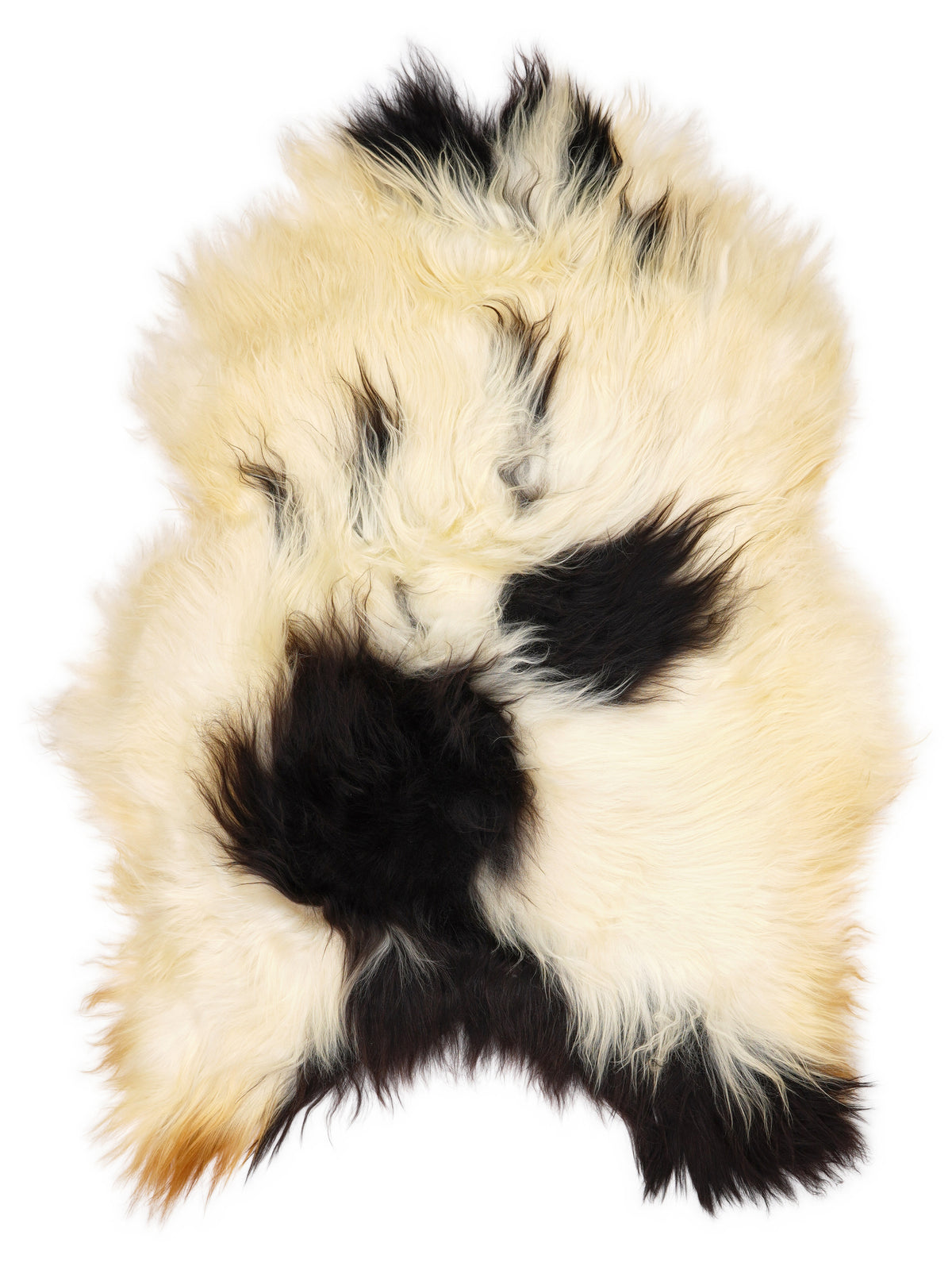 Icelandic multicolour sheepskin rug of about 120 × 85 cm, seen from above: the exact sheepskin you receive