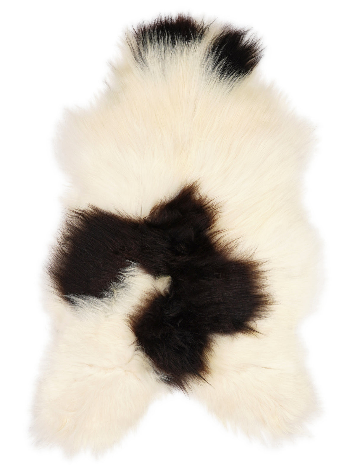 Icelandic multicolour sheepskin rug of about 110 × 70 cm, seen from above: the exact sheepskin you receive