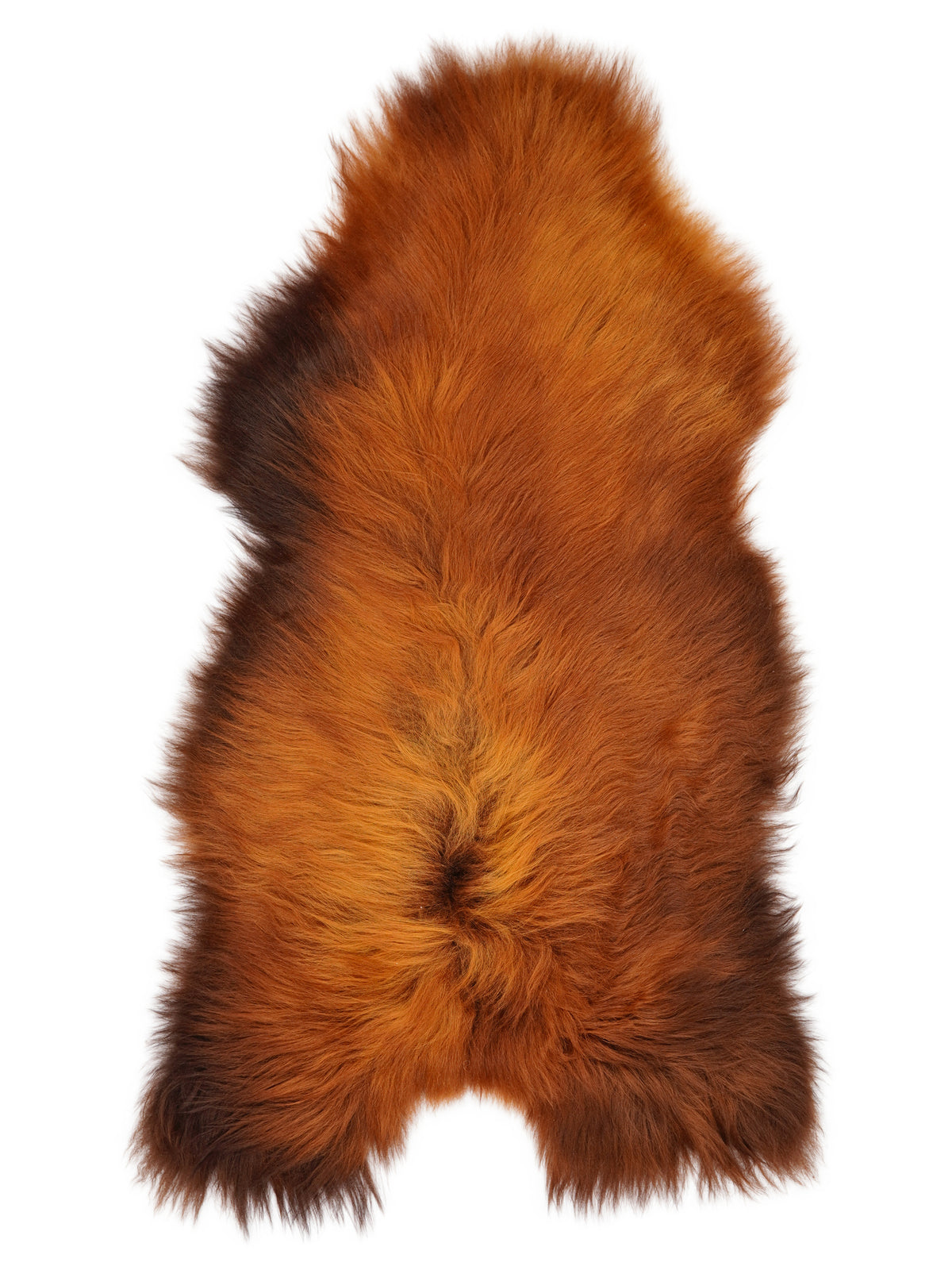 Icelandic Rusty sheepskin rug of about 125 × 65 cm, seen from above: the exact sheepskin you receive