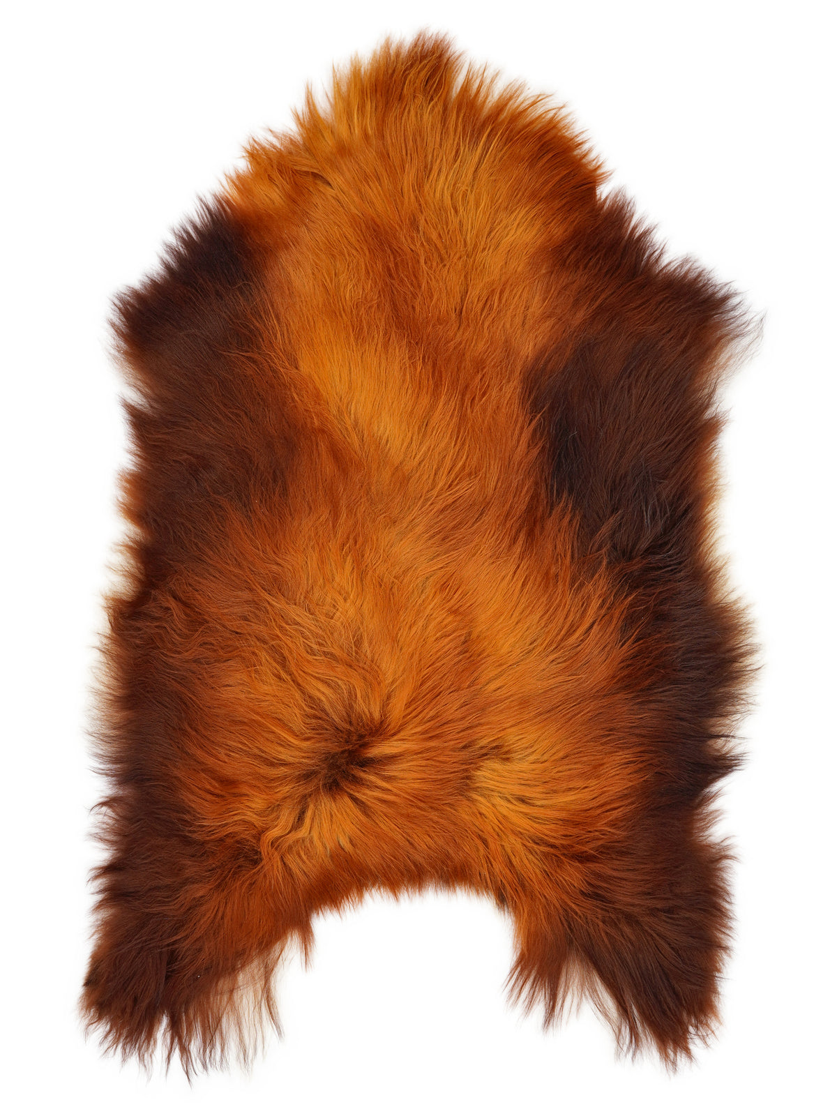 Icelandic Rusty sheepskin rug of about 125 × 85 cm, seen from above: the exact sheepskin you receive