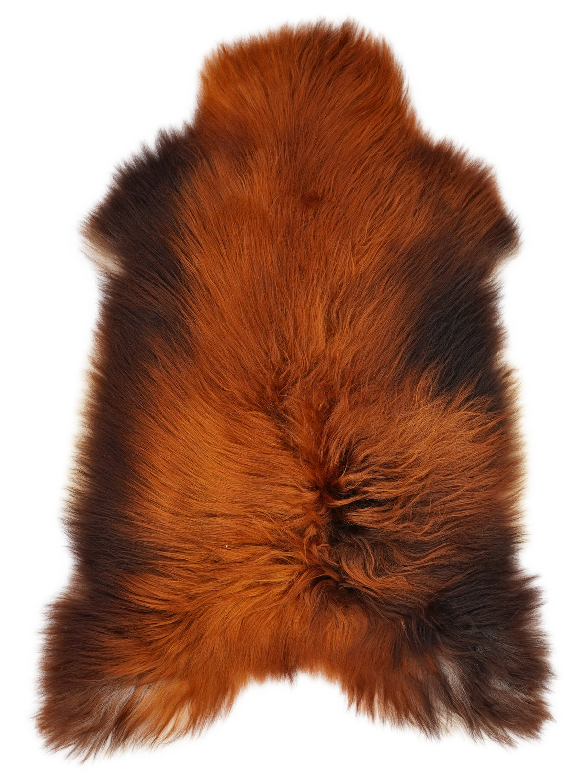Icelandic Rusty sheepskin rug of about 120 × 80 cm, seen from above: the exact sheepskin you receive