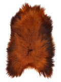 Icelandic Rusty sheepskin rug of about 130 × 85 cm, seen from above: the exact sheepskin you receive