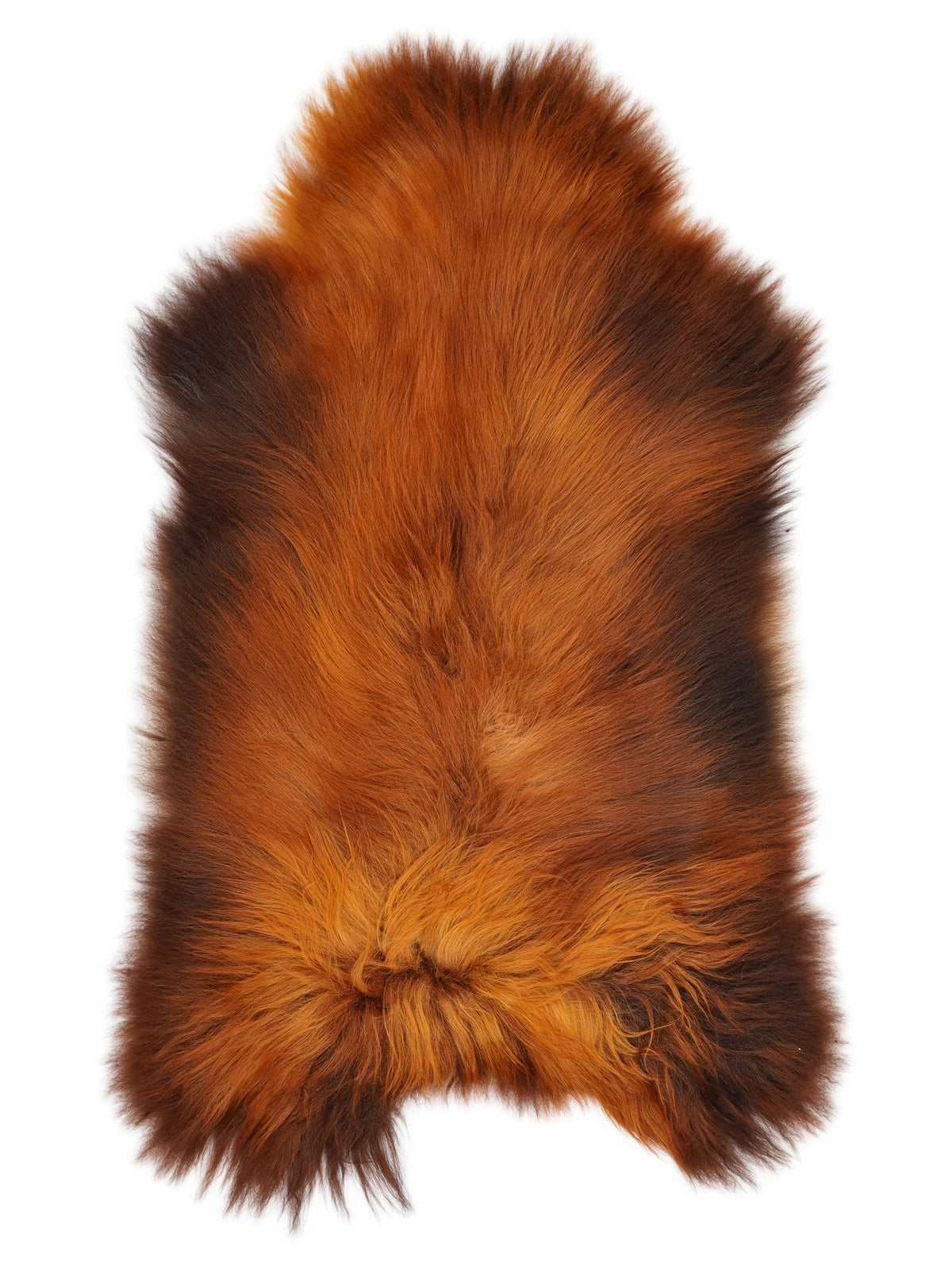 Icelandic Rusty sheepskin rug of about 120 × 70 cm, seen from above: the exact sheepskin you receive