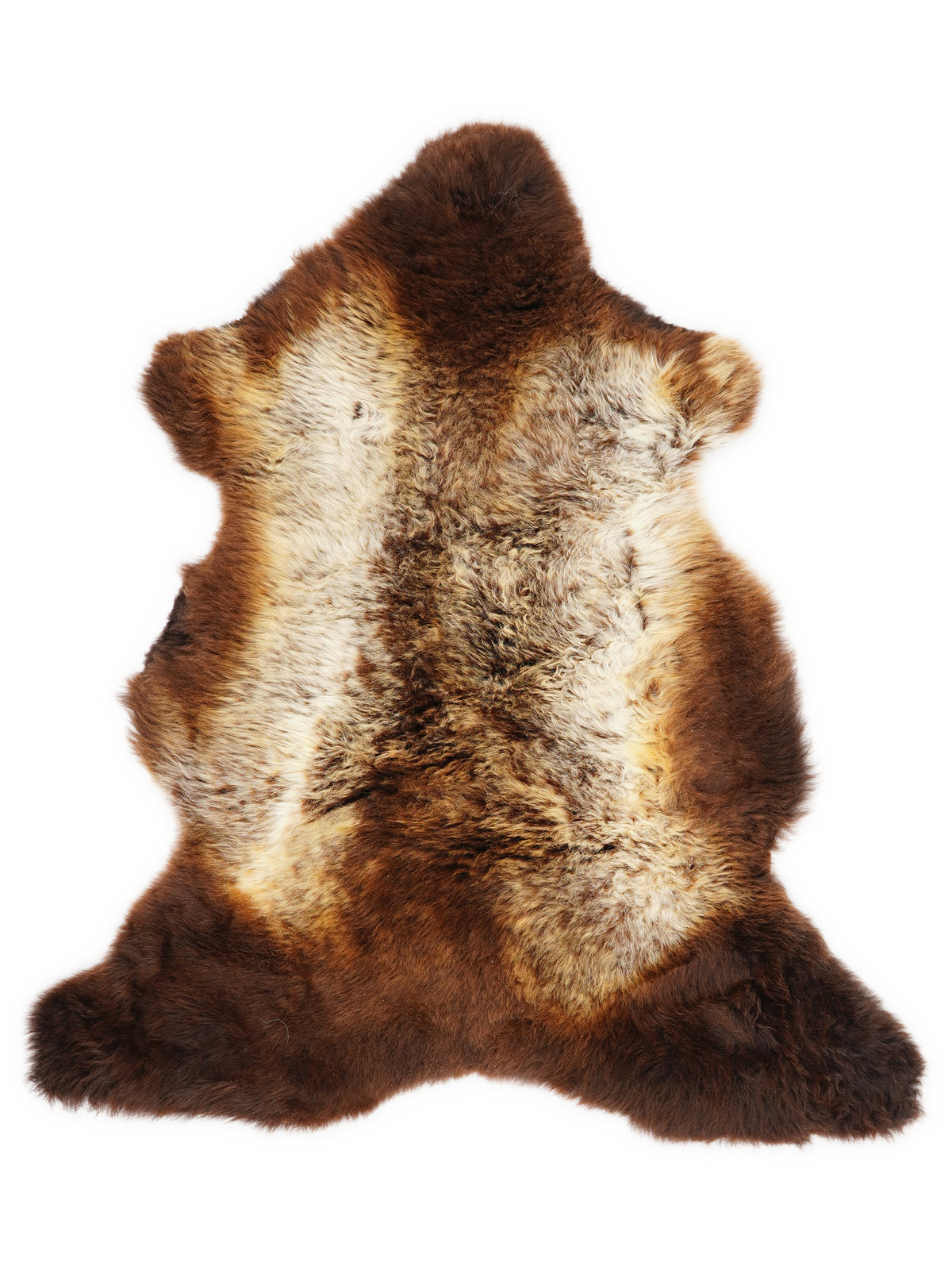 British multicolour sheepskin rug of about 100 × 60 cm, seen from above: the exact sheepskin you receive