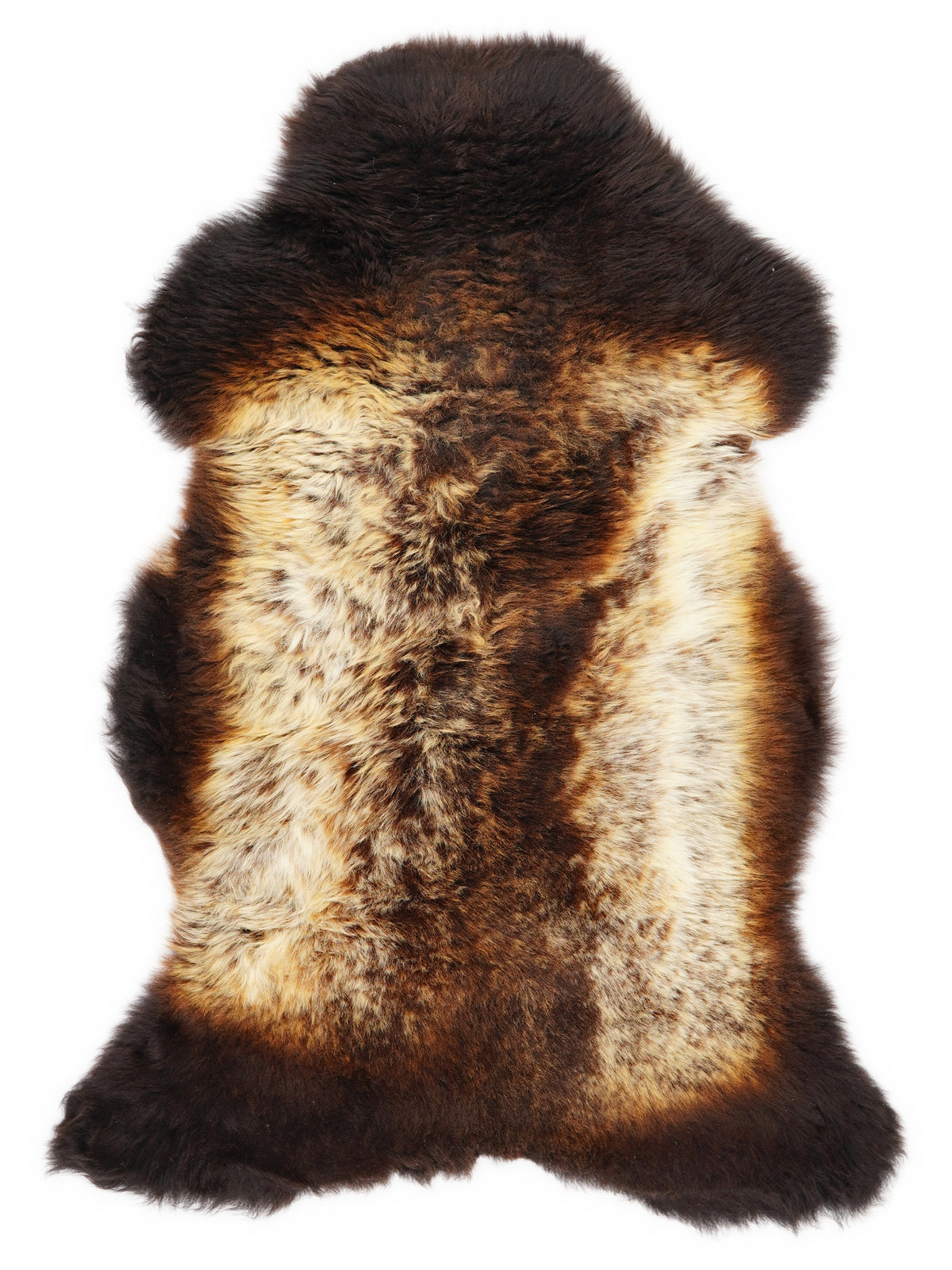 British multicolour sheepskin rug of about 110 × 65 cm, seen from above: the exact sheepskin you receive
