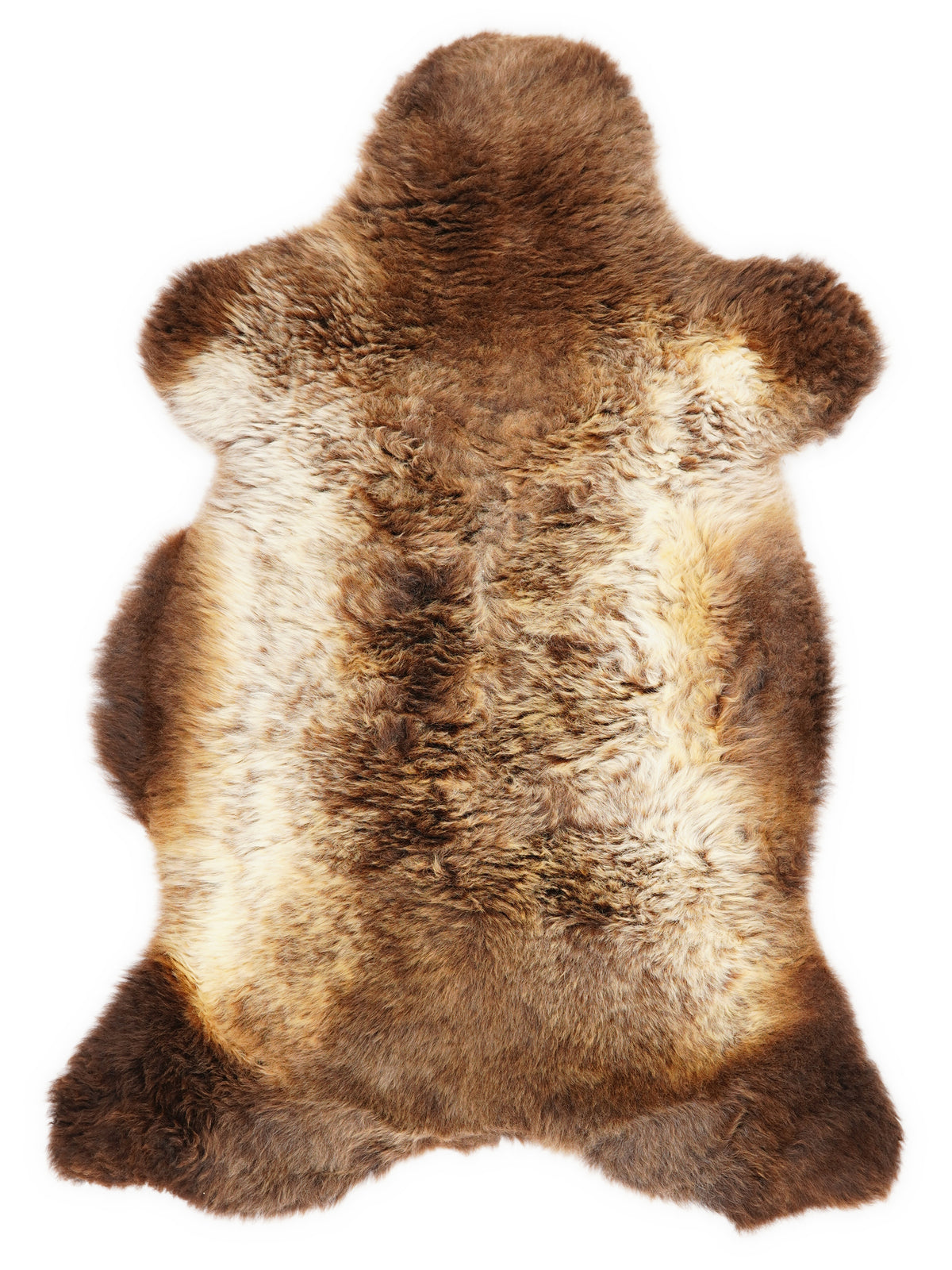 British multicolour sheepskin rug of about 105 × 60 cm, seen from above: the exact sheepskin you receive