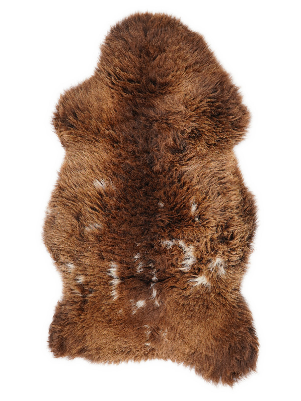 British multicolour sheepskin rug of about 115 × 65 cm, seen from above: the exact sheepskin you receive