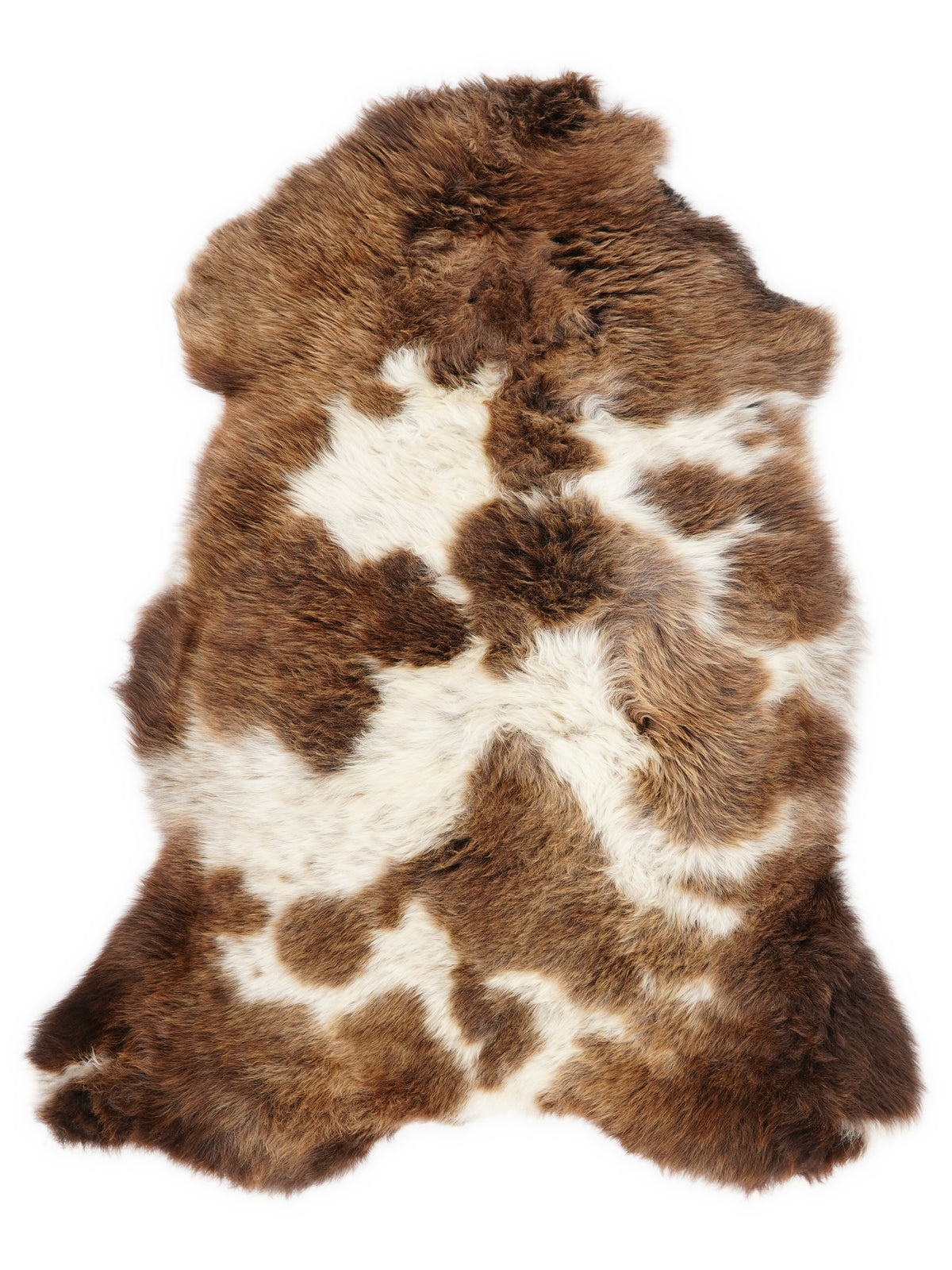 British multicolour sheepskin rug of about 100 × 60 cm, seen from above: the exact sheepskin you receive