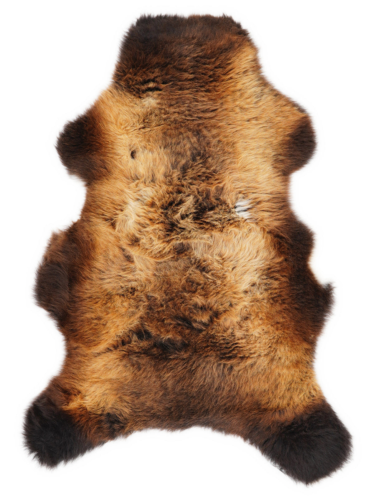 British multicolour sheepskin rug of about 110 × 65 cm, seen from above: the exact sheepskin you receive