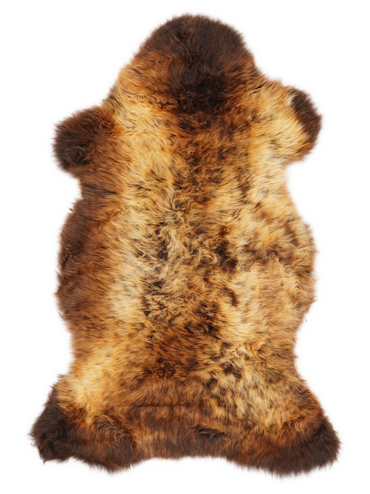 British multicolour sheepskin rug of about 115 × 60 cm, seen from above: the exact sheepskin you receive