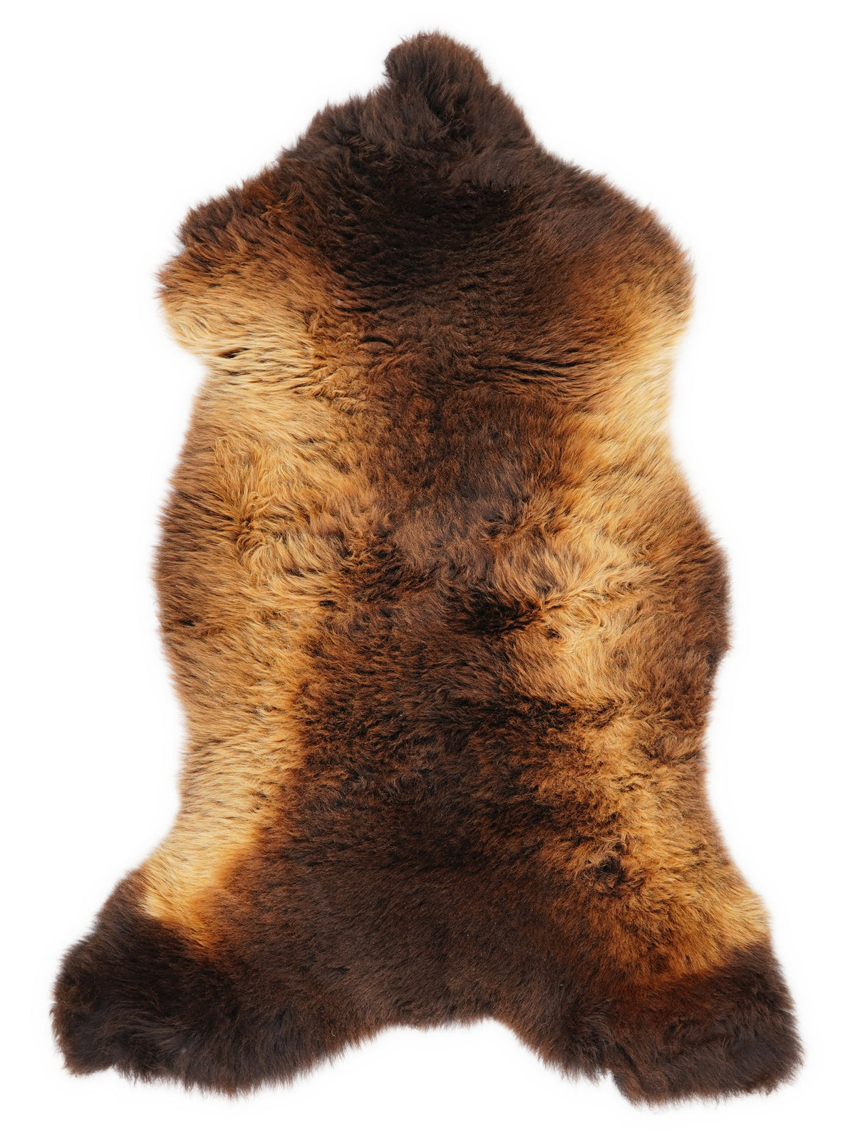 British multicolour sheepskin rug of about 110 × 55 cm, seen from above: the exact sheepskin you receive