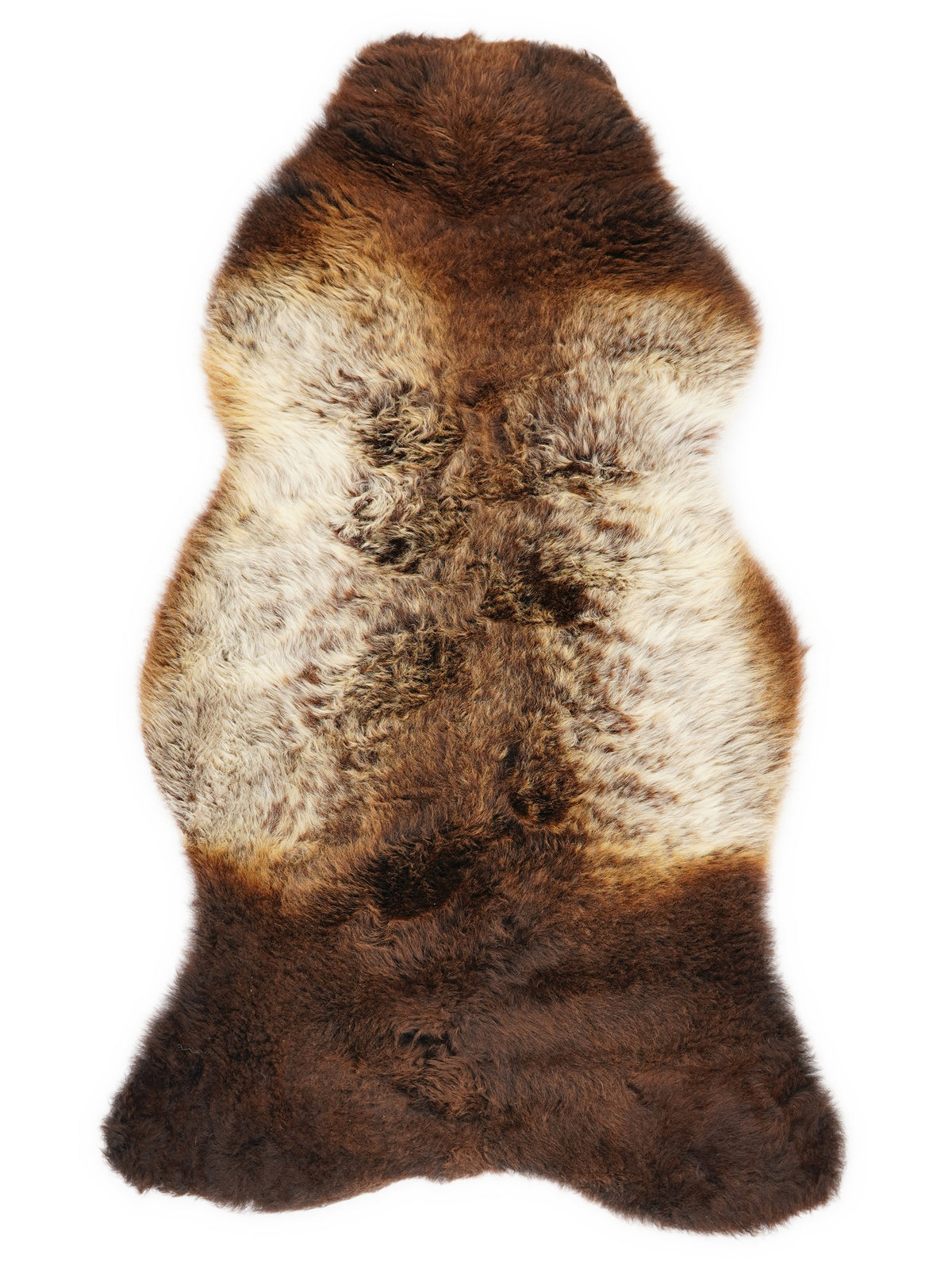 British multicolour sheepskin rug of about 105 × 55 cm, seen from above: the exact sheepskin you receive