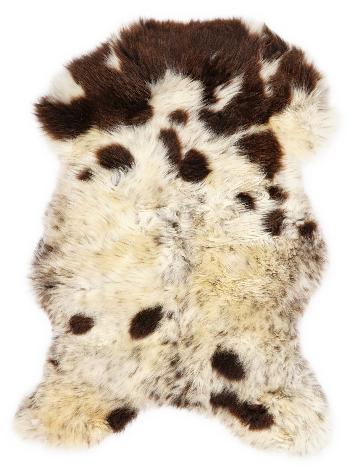 British multicolour sheepskin rug of about 100 × 65 cm, seen from above: the exact sheepskin you receive