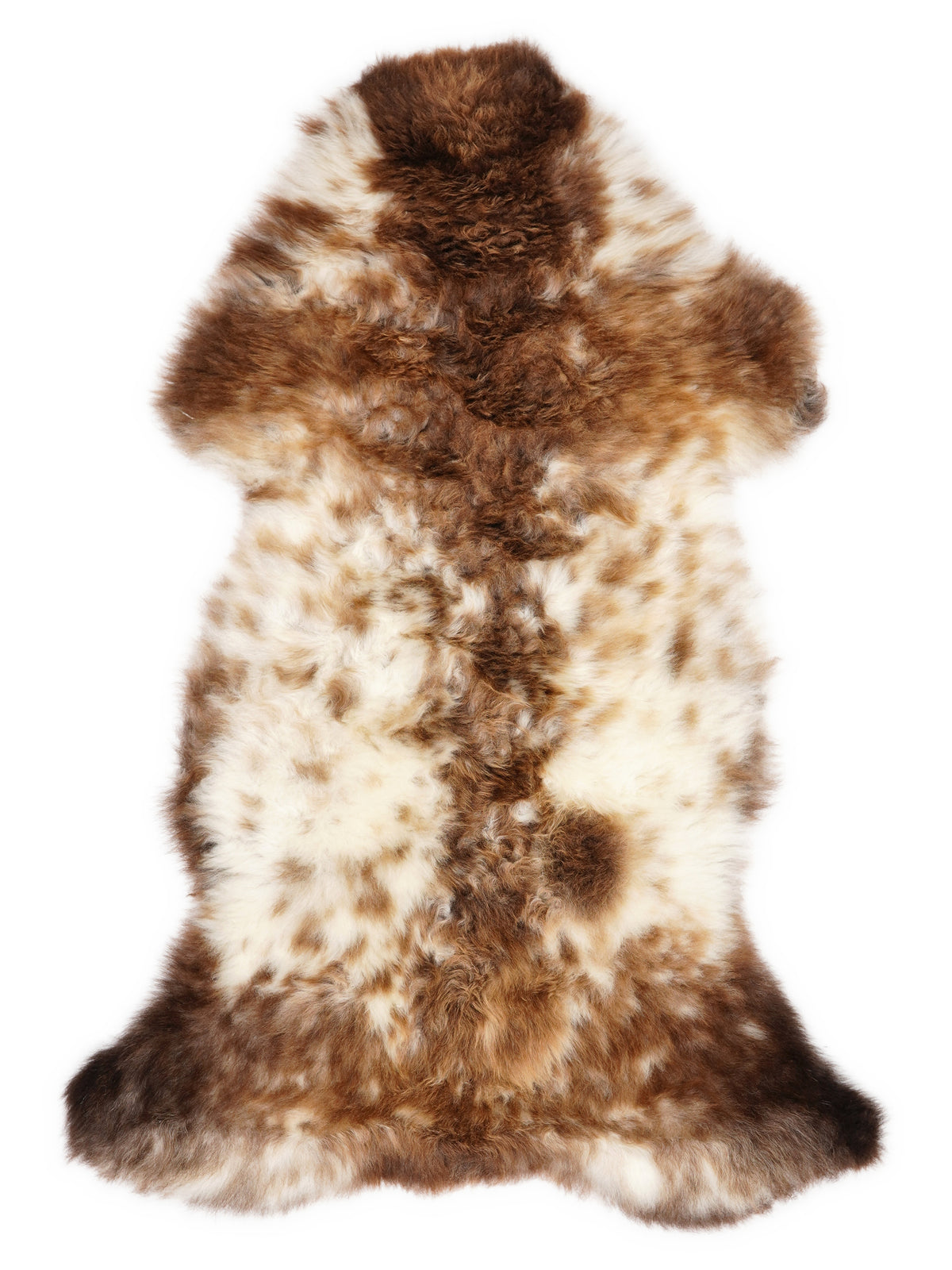 British multicolour sheepskin rug of about 110 × 55 cm, seen from above: the exact sheepskin you receive