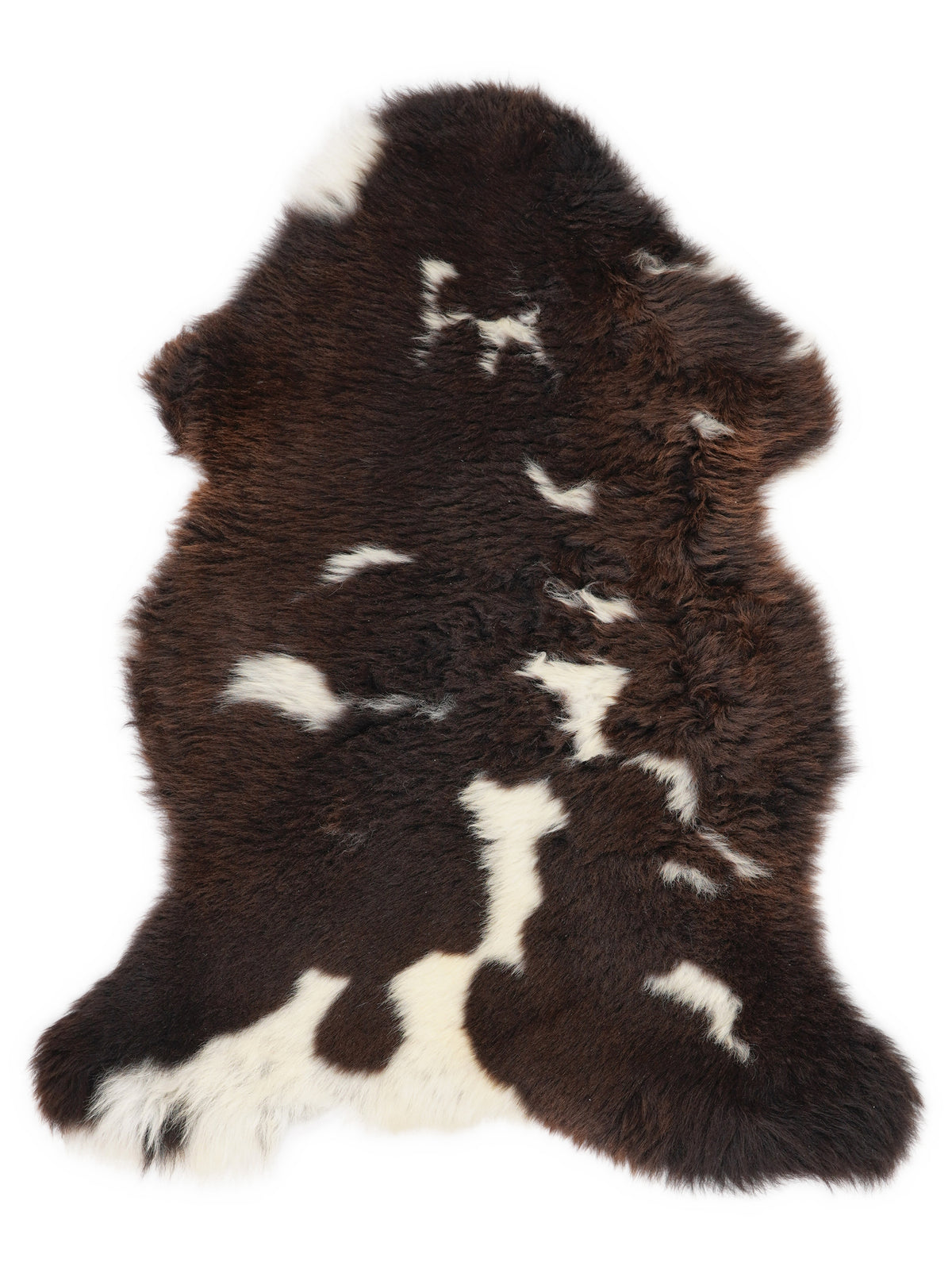 British multicolour sheepskin rug of about 110 × 65 cm, seen from above: the exact sheepskin you receive