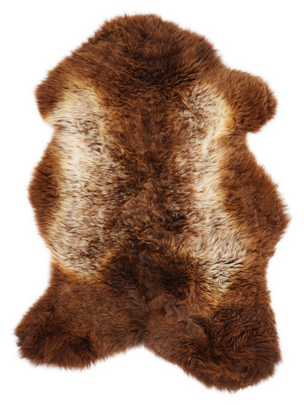British multicolour sheepskin rug of about 115 × 65 cm, seen from above: the exact sheepskin you receive