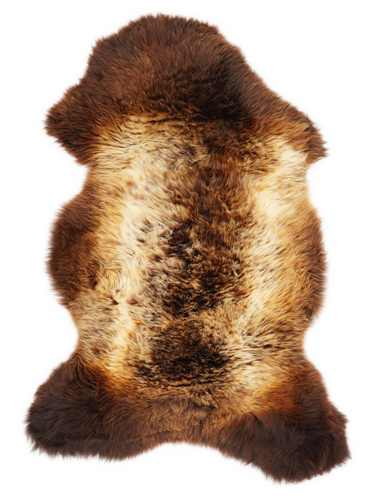 British multicolour sheepskin rug of about 120 × 65 cm, seen from above: the exact sheepskin you receive