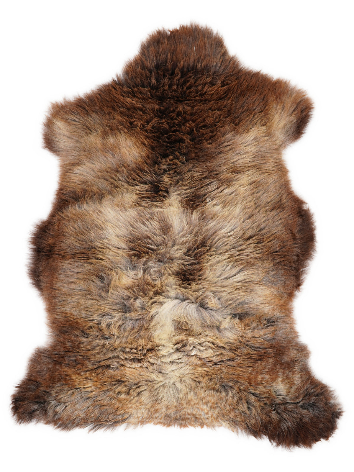 British multicolour sheepskin rug of about 110 × 70 cm, seen from above: the exact sheepskin you receive