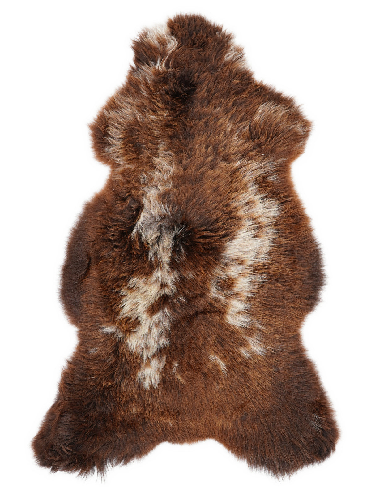 British multicolour sheepskin rug of about 120 × 65 cm, seen from above: the exact sheepskin you receive