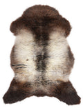 British multicolour sheepskin rug of about 110 × 65 cm, seen from above: the exact sheepskin you receive
