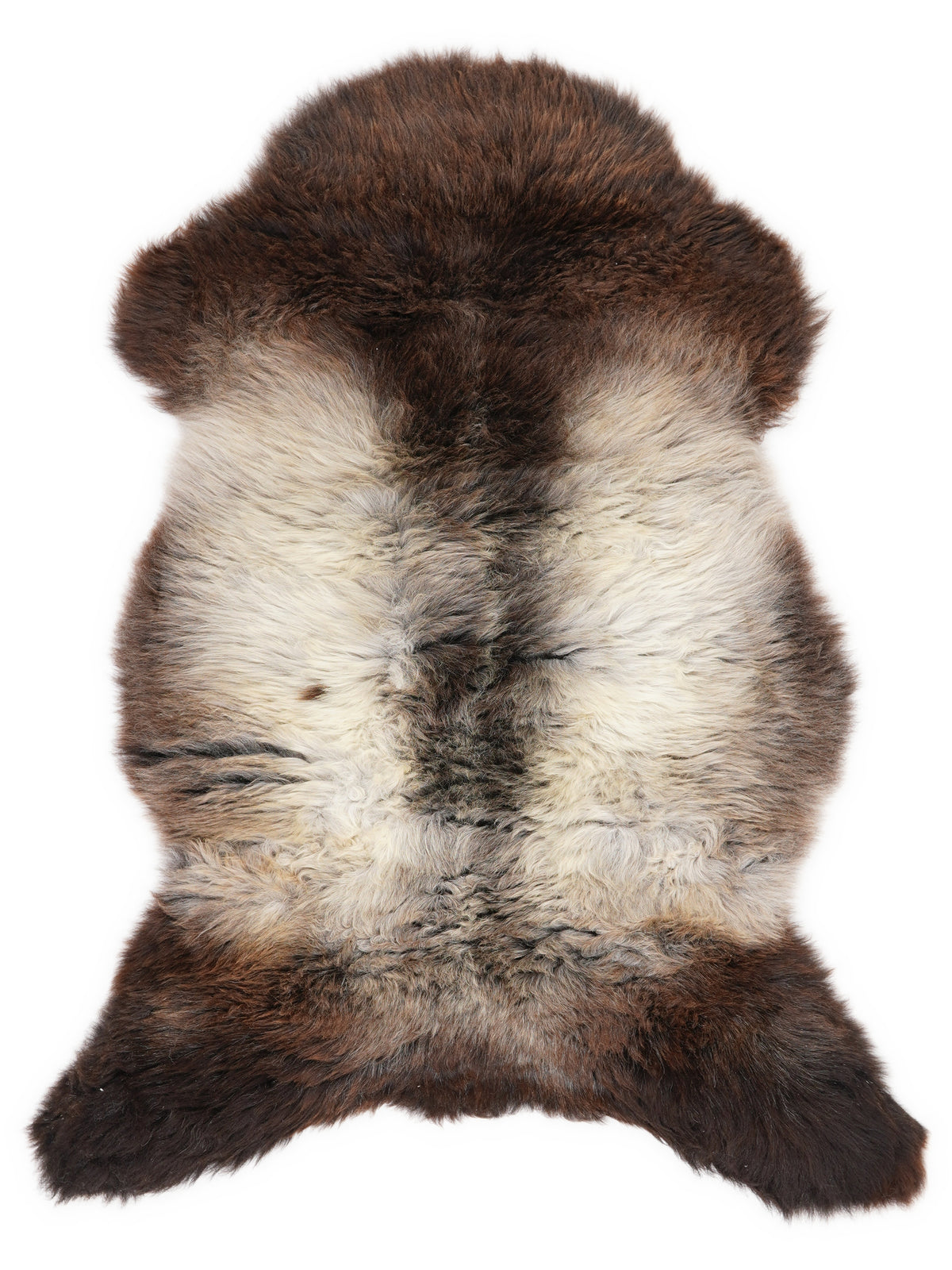 British multicolour sheepskin rug of about 110 × 65 cm, seen from above: the exact sheepskin you receive