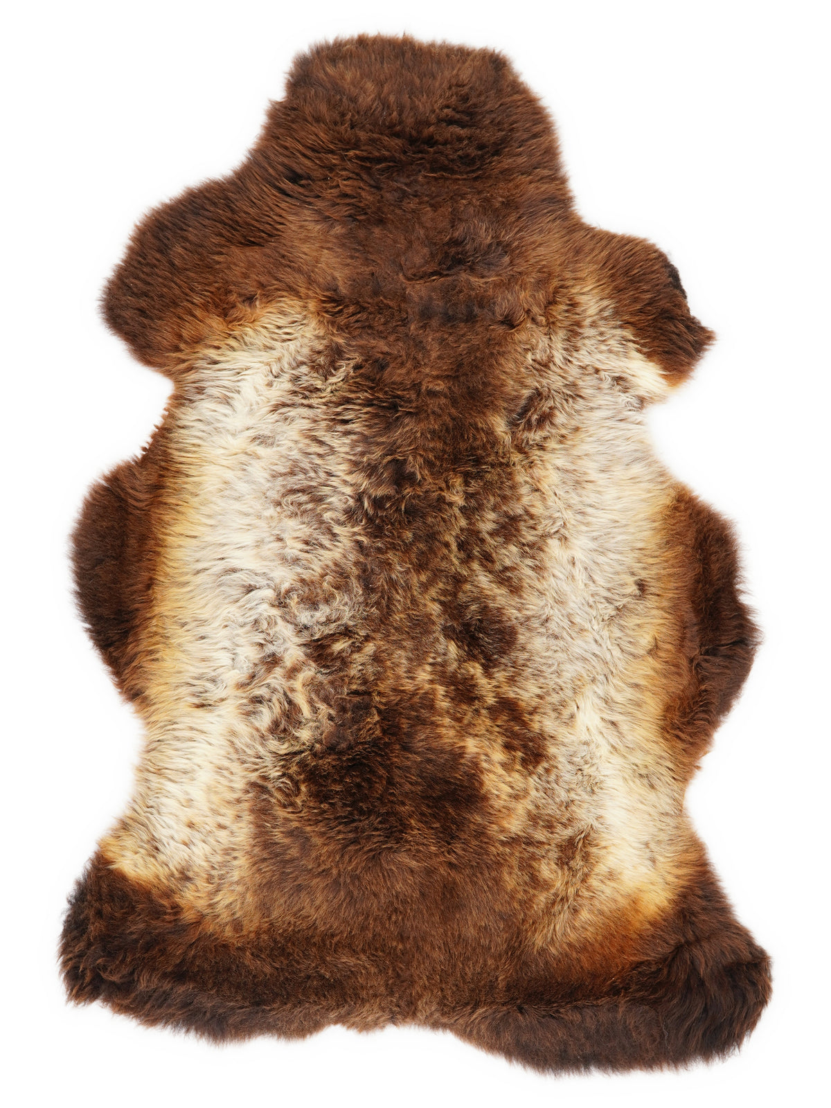 British multicolour sheepskin rug of about 110 × 70 cm, seen from above: the exact sheepskin you receive