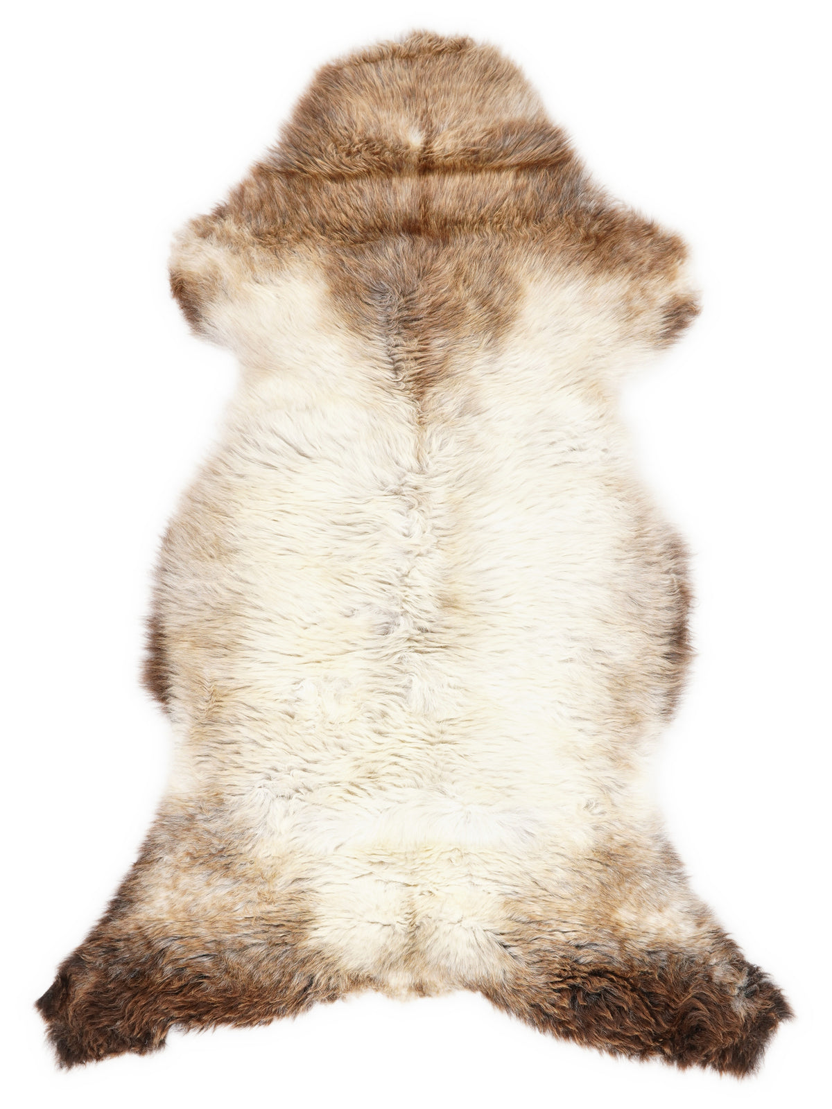 British multicolour sheepskin rug of about 115 × 55 cm, seen from above: the exact sheepskin you receive