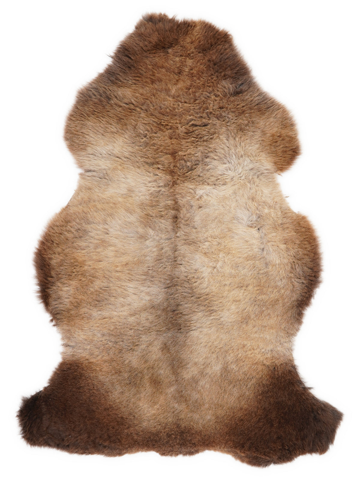 British multicolour sheepskin rug of about 110 × 65 cm, seen from above: the exact sheepskin you receive