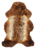 British multicolour sheepskin rug of about 110 × 70 cm, seen from above: the exact sheepskin you receive