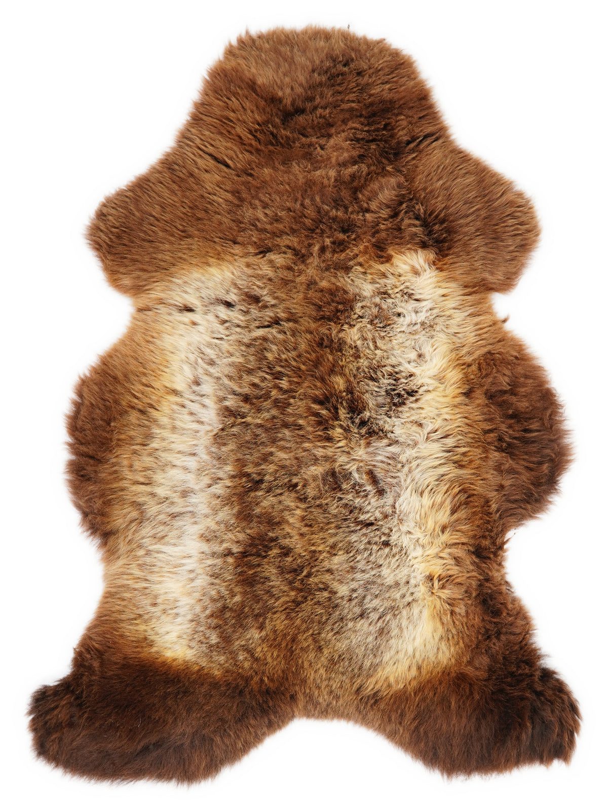 British multicolour sheepskin rug of about 110 × 70 cm, seen from above: the exact sheepskin you receive