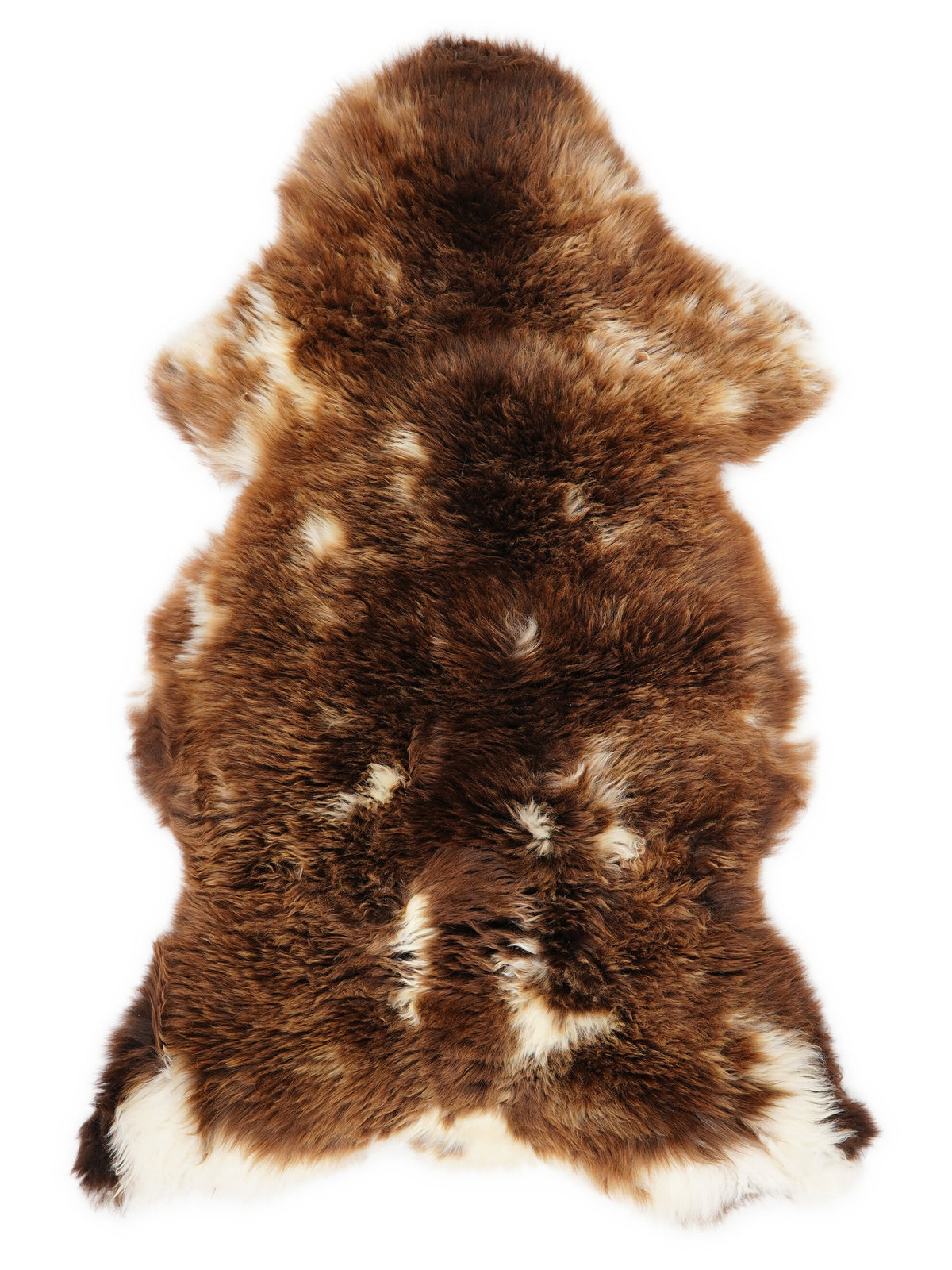 British multicolour sheepskin rug of about 120 × 60 cm, seen from above: the exact sheepskin you receive