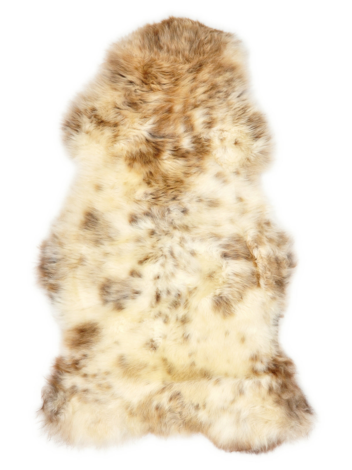 British multicolour sheepskin rug of about 110 × 60 cm, seen from above: the exact sheepskin you receive