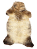 British multicolour sheepskin rug of about 120 × 60 cm, seen from above: the exact sheepskin you receive