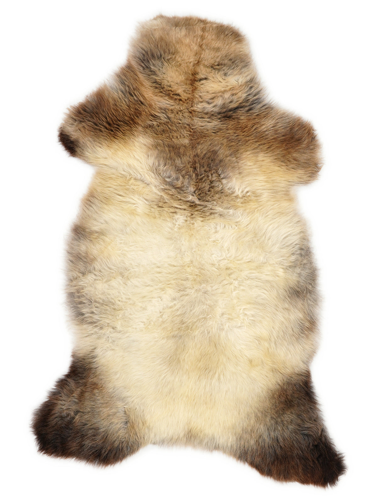British multicolour sheepskin rug of about 120 × 60 cm, seen from above: the exact sheepskin you receive