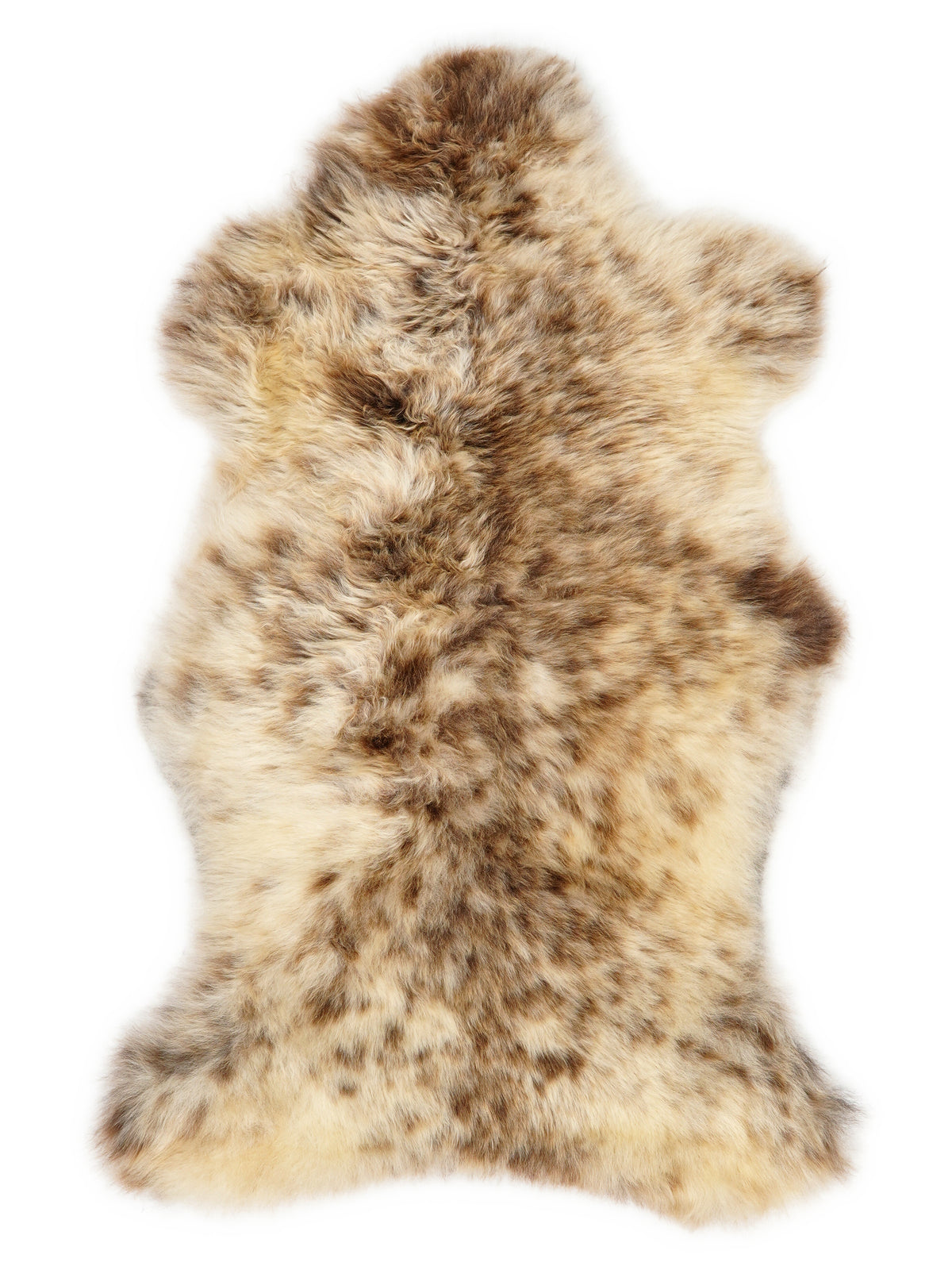 British multicolour sheepskin rug of about 105 × 60 cm, seen from above: the exact sheepskin you receive