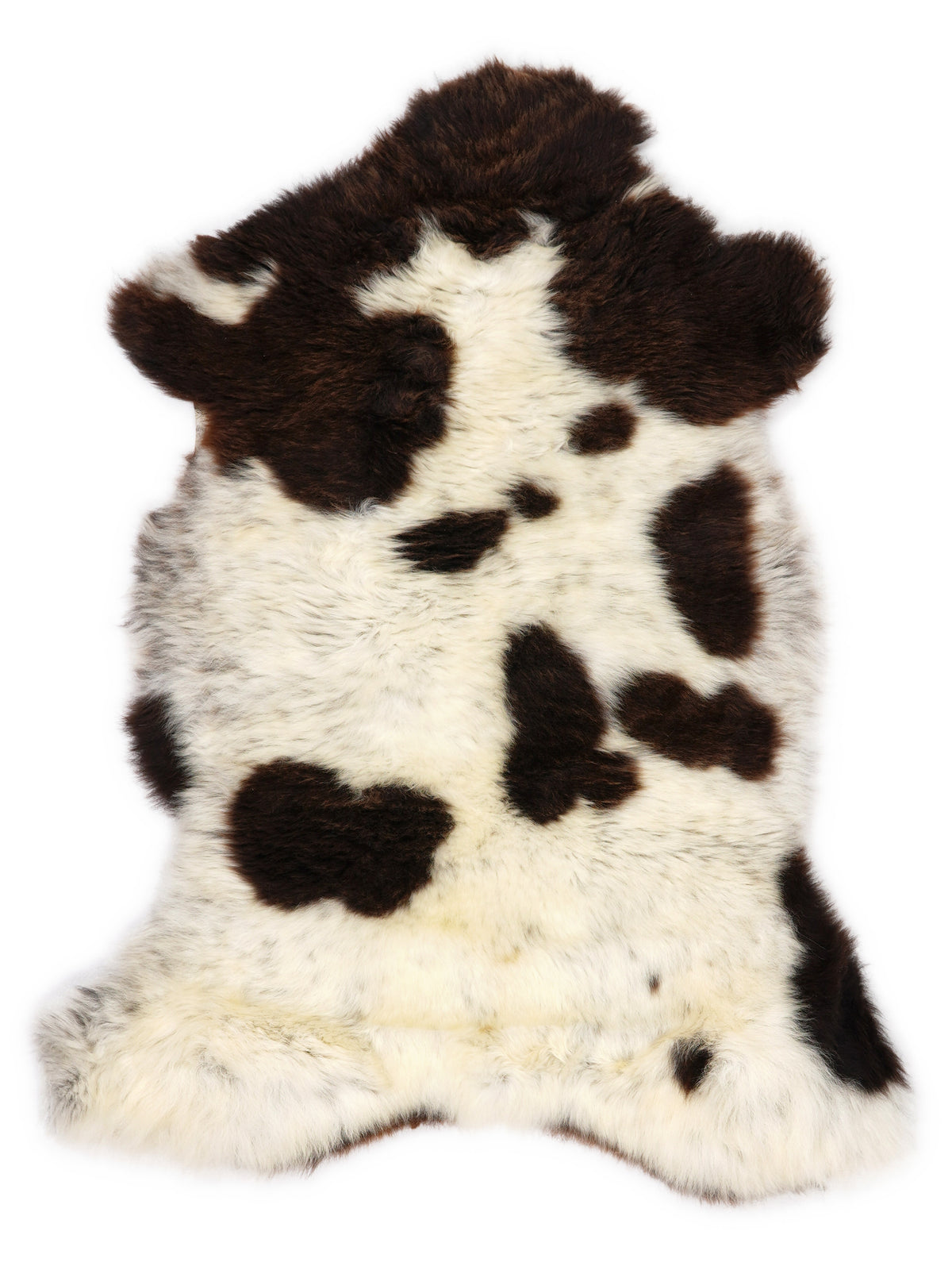 British multicolour sheepskin rug of about 105 × 60 cm, seen from above: the exact sheepskin you receive