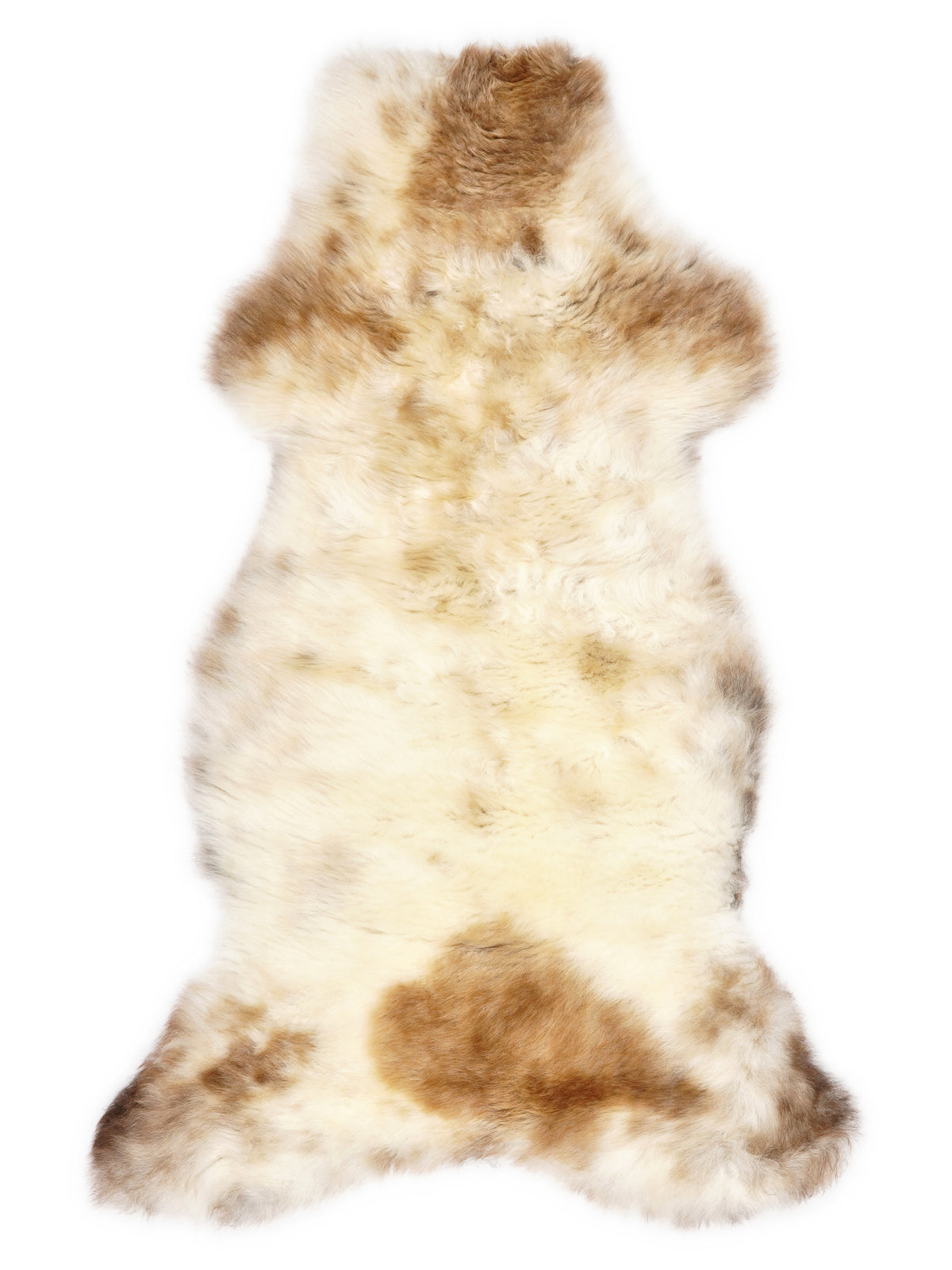 British multicolour sheepskin rug of about 110 × 50 cm, seen from above: the exact sheepskin you receive