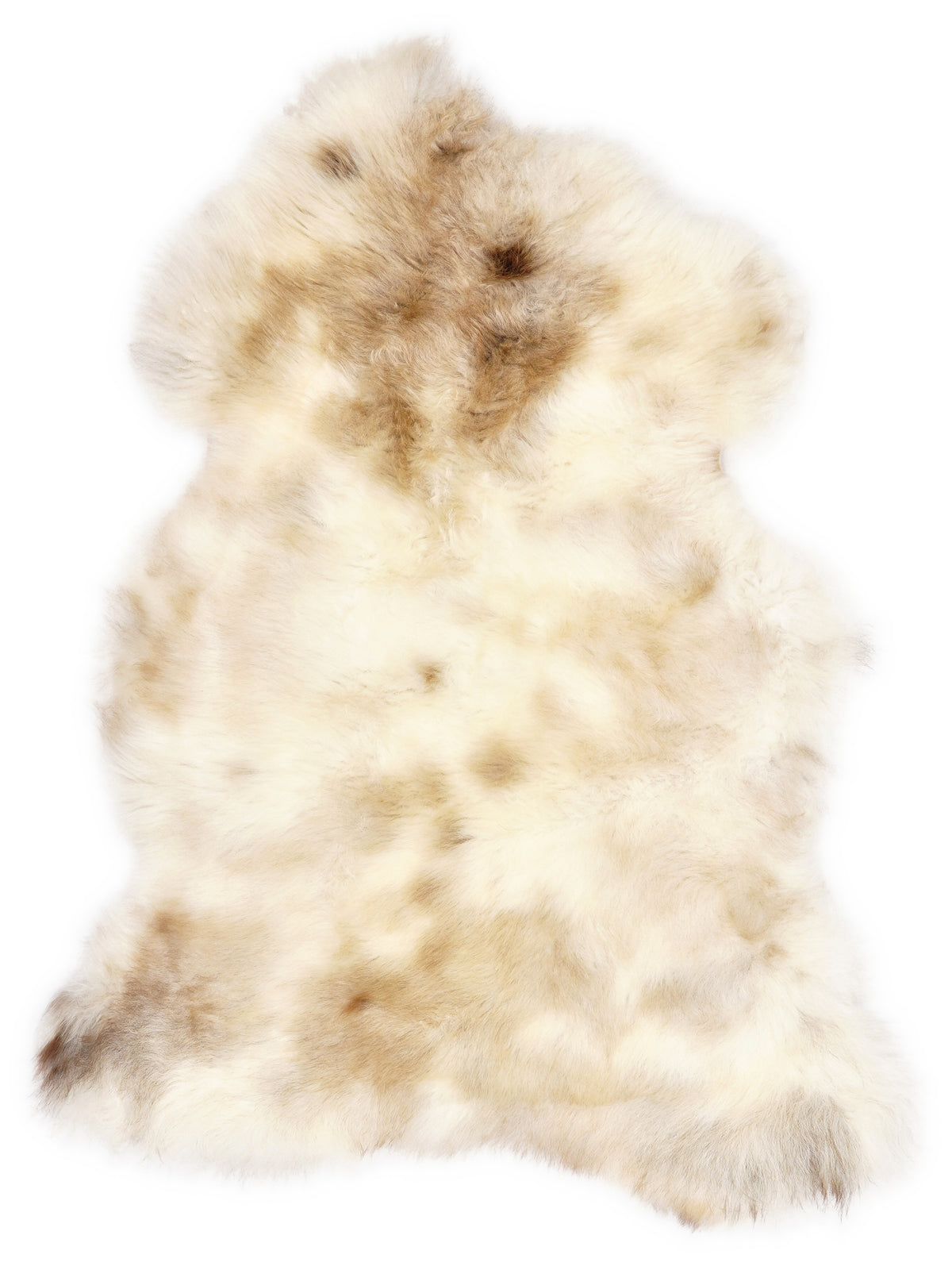 British multicolour sheepskin rug of about 105 × 60 cm, seen from above: the exact sheepskin you receive