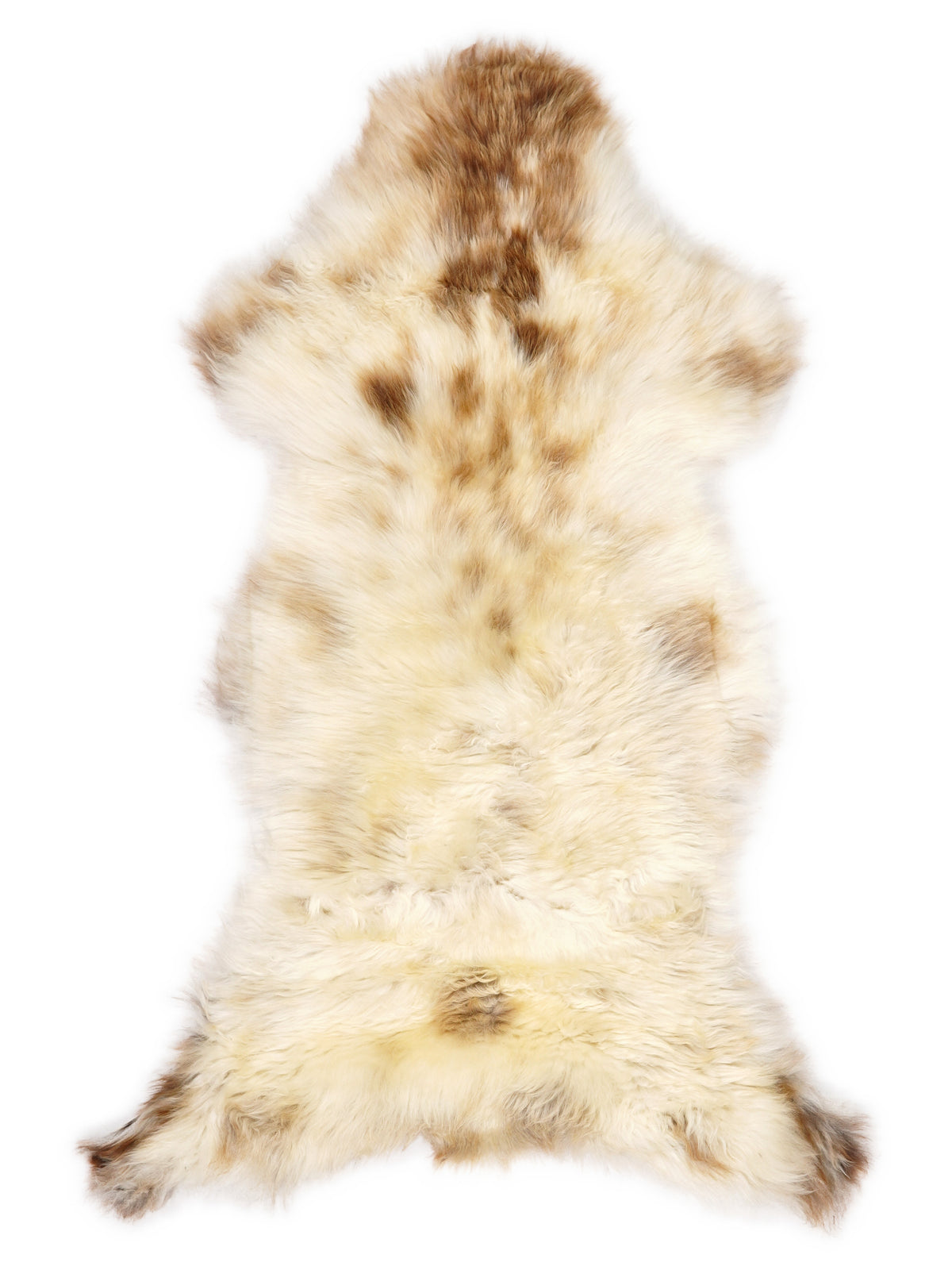 British multicolour sheepskin rug of about 120 × 50 cm, seen from above: the exact sheepskin you receive