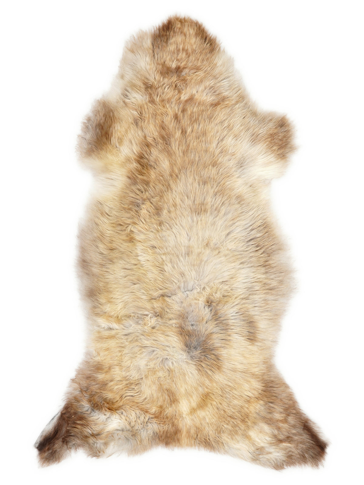 British multicolour sheepskin rug of about 125 × 60 cm, seen from above: the exact sheepskin you receive