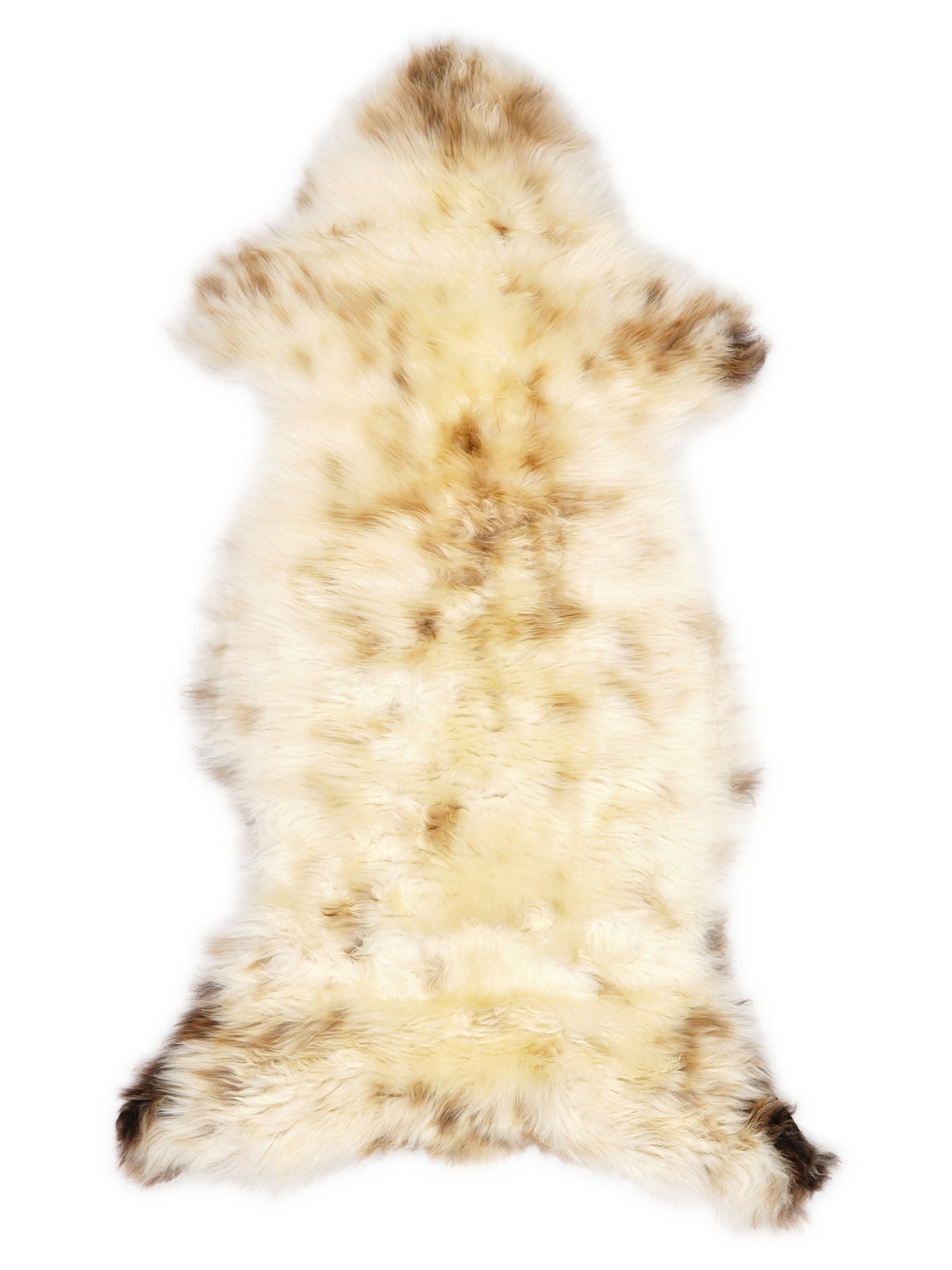 British multicolour sheepskin rug of about 120 × 50 cm, seen from above: the exact sheepskin you receive
