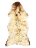 British multicolour sheepskin rug of about 120 × 50 cm, seen from above: the exact sheepskin you receive