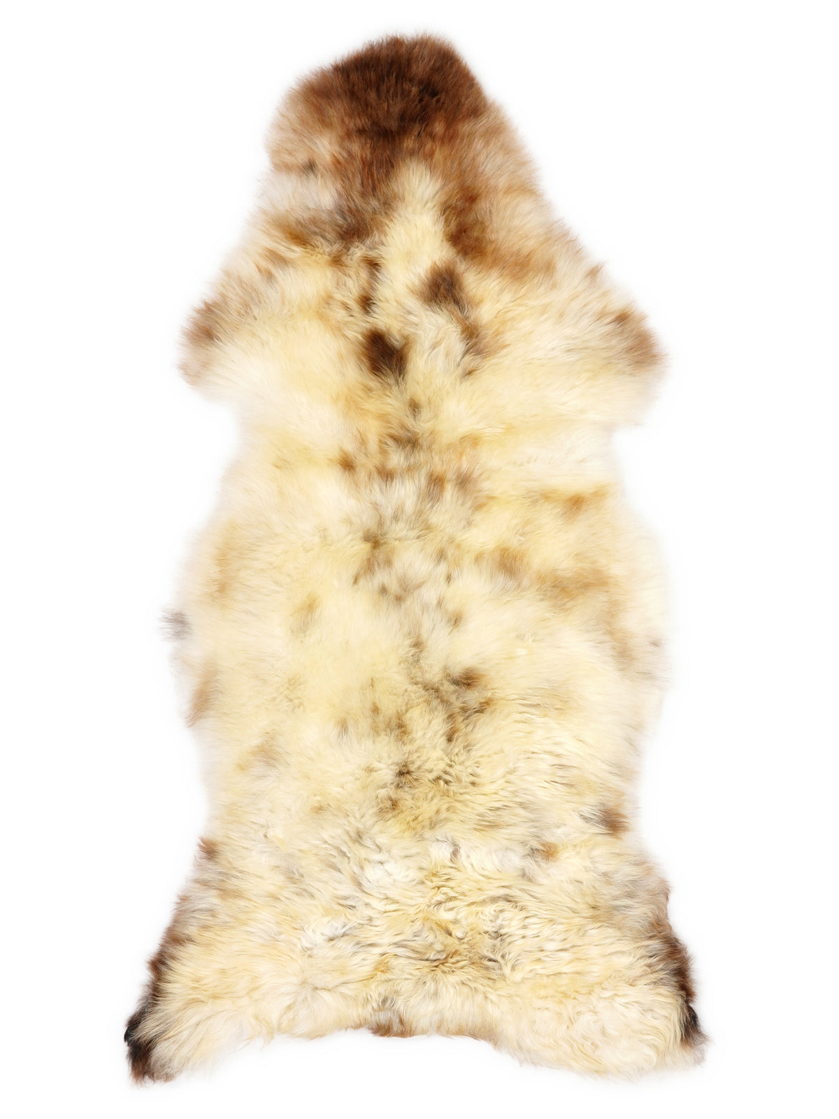 British multicolour sheepskin rug of about 120 × 50 cm, seen from above: the exact sheepskin you receive