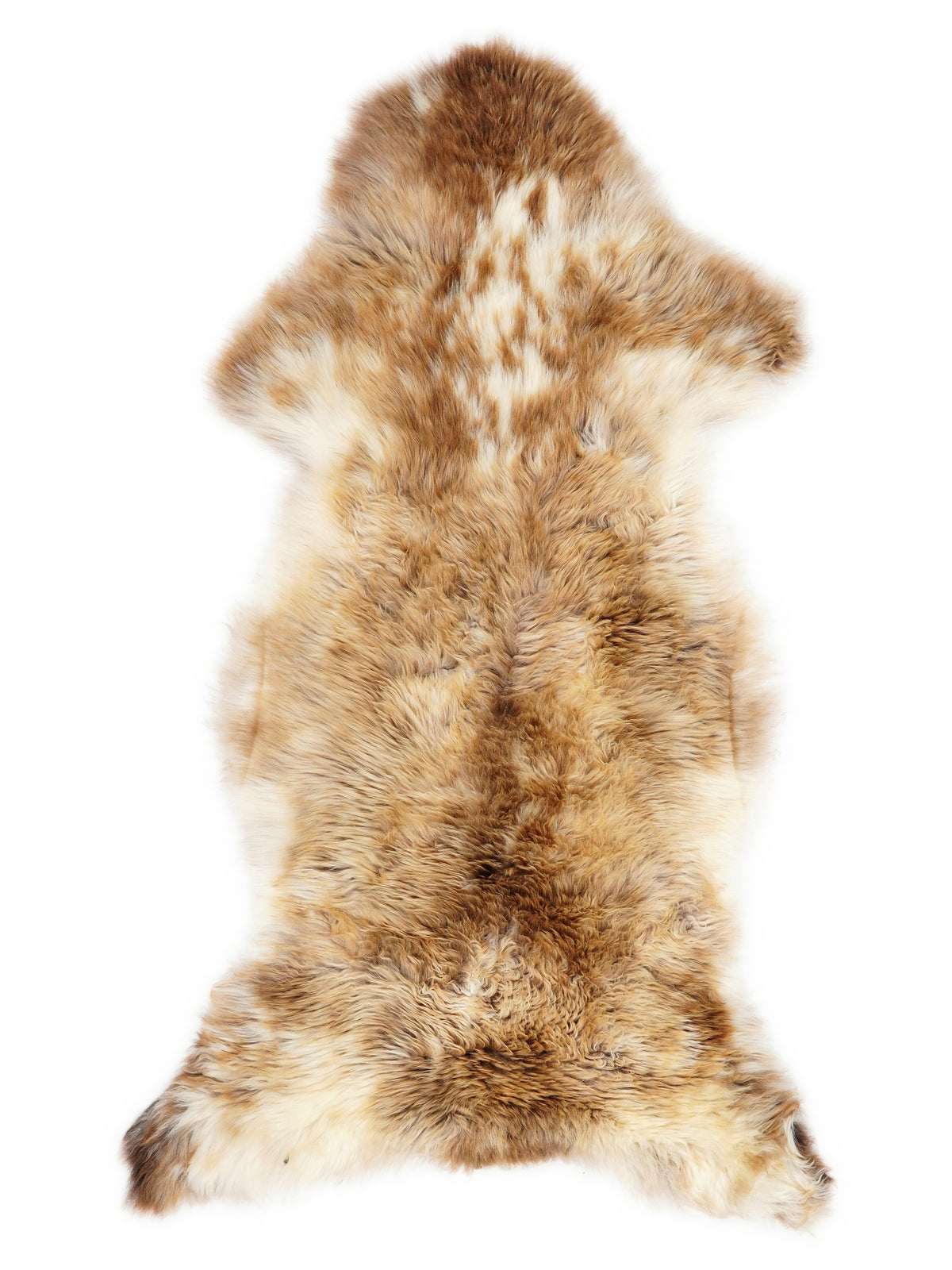British multicolour sheepskin rug of about 120 × 55 cm, seen from above: the exact sheepskin you receive