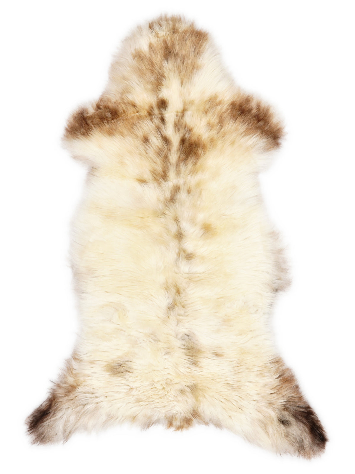 British multicolour sheepskin rug of about 120 × 55 cm, seen from above: the exact sheepskin you receive