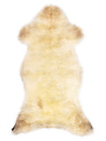 British multicolour sheepskin rug of about 110 × 50 cm, seen from above: the exact sheepskin you receive