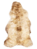 British multicolour sheepskin rug of about 110 × 60 cm, seen from above: the exact sheepskin you receive